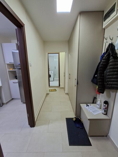 Obor Colentina, Teiul Doamnei, langa Sectia 7 Politie.