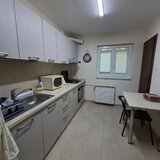 Obor Colentina, Teiul Doamnei, langa Sectia 7 Politie